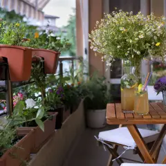 Balkonpflanzen im August blühen üppig. Ein Tisch mit erfrischenden Getränken und Blumenarrangements lädt zum Verweilen ein.