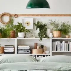 Grüne Pflanzen im Schlafzimmer schaffen eine beruhigende Atmosphäre. Auf weißen Regalen stehen diverse Topfpflanzen, Bücher und Dekoartikel.