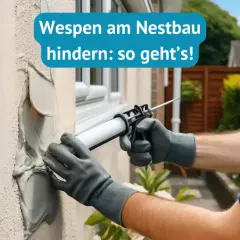 Person dichtet Risse am Haus ab, um Wespen am Nestbau zu hindern.