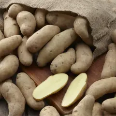 Ein Sack mit festkochenden Kartoffelsorten liegt auf einem Holzbrett. Einige Kartoffeln sind aufgeschnitten und zeigen ihr hellgelbes Inneres.