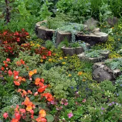 Blumenpracht und Baumstämme als Pflanzgefäße – tolle wildgarten ideen für ein naturnahes Paradies.