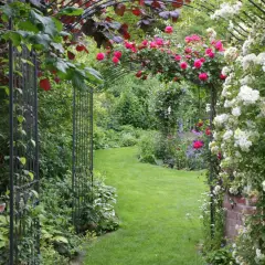 Ein schmal kleiner garten gestalten: Rosenranken überwuchern einen Torbogen, der zu einem üppig grünen Rasenweg führt.