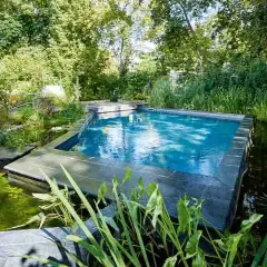 Ein moderner Gartenpool mit integriertem Teich und üppiger Bepflanzung. Tolle gartenpool ideen für eine natürliche Oase.