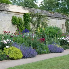 Bunte Blumenbeete entlang einer Steinmauer, inspirierende Ideen für gartenbeete gestalten.