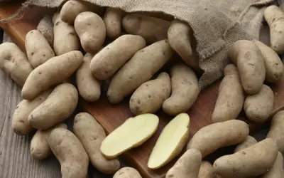 Ein Sack mit festkochenden Kartoffelsorten liegt auf einem Holzbrett. Einige Kartoffeln sind aufgeschnitten und zeigen ihr hellgelbes Inneres.