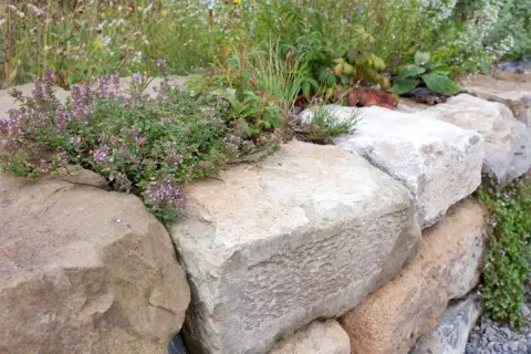 Eine rustikale **Natursteinmauer bauen** mit üppig blühendem Thymian und Wildblumen.