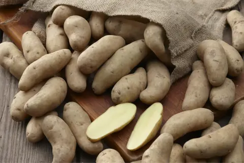 Ein Sack mit festkochenden Kartoffelsorten liegt auf einem Holzbrett. Einige Kartoffeln sind aufgeschnitten und zeigen ihr hellgelbes Inneres.
