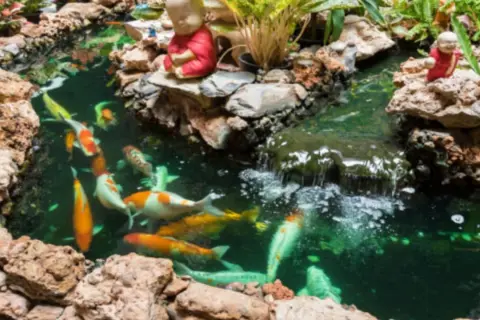 Bunte Koi schwimmen in einem Teich mit Wasserfall und Buddha-Figuren. Tolle koi teich ideen für Ihren Garten.