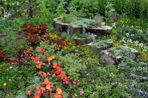 Blumenpracht und Baumstämme als Pflanzgefäße – tolle wildgarten ideen für ein naturnahes Paradies.