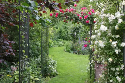 Ein schmal kleiner garten gestalten: Rosenranken überwuchern einen Torbogen, der zu einem üppig grünen Rasenweg führt.