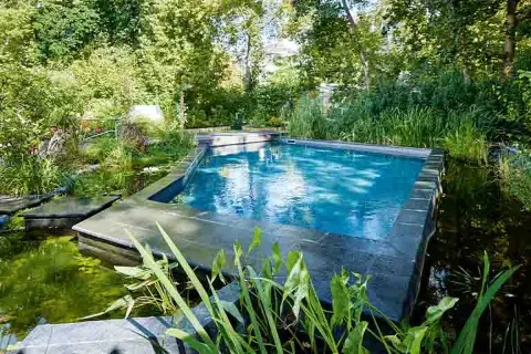 Ein moderner Gartenpool mit integriertem Teich und üppiger Bepflanzung. Tolle gartenpool ideen für eine natürliche Oase.