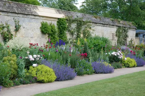 Bunte Blumenbeete entlang einer Steinmauer, inspirierende Ideen für gartenbeete gestalten.