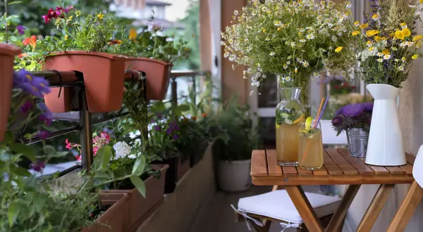 Balkonpflanzen im August blühen üppig. Ein Tisch mit erfrischenden Getränken und Blumenarrangements lädt zum Verweilen ein.