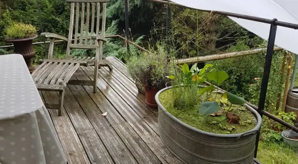 Kleine Gartenteich Ideen: Ein Zinkbottich mit Wasserpflanzen und Seerosen auf einer Holzterrasse neben einem alten Holzstuhl.