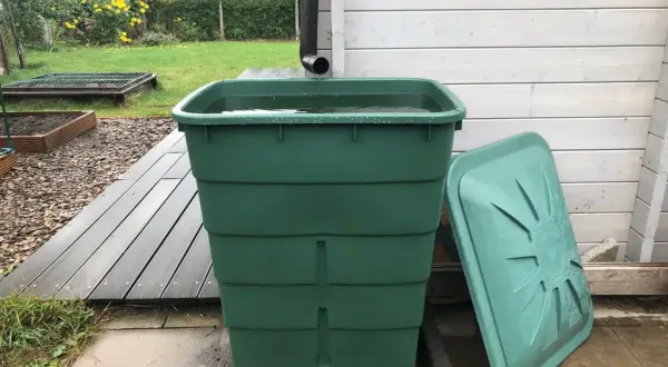 Grüner Regentank fängt Wasser auf. Daneben liegt der Deckel. Im Hintergrund ein Garten mit gelben Blumen.