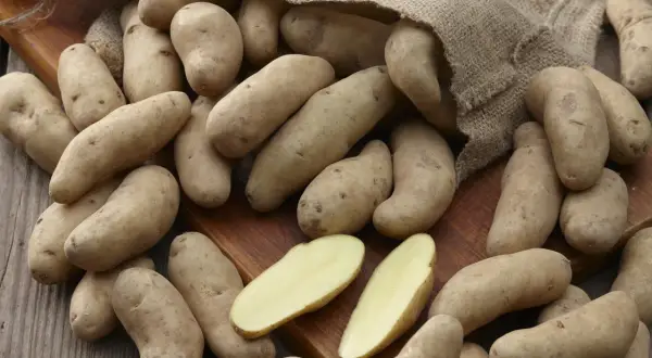 Ein Sack mit festkochenden Kartoffelsorten liegt auf einem Holzbrett. Einige Kartoffeln sind aufgeschnitten und zeigen ihr hellgelbes Inneres.
