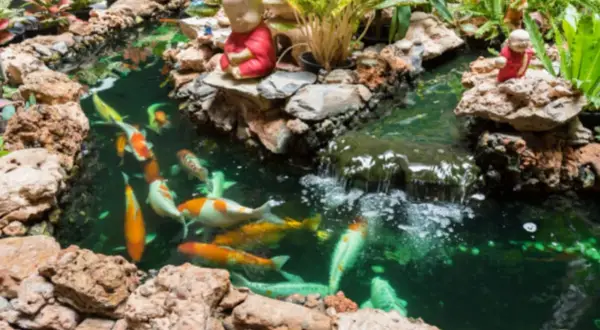 Bunte Koi schwimmen in einem Teich mit Wasserfall und Buddha-Figuren. Tolle koi teich ideen für Ihren Garten.