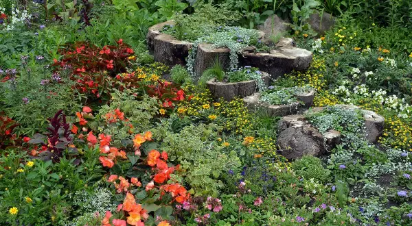 Blumenpracht und Baumstämme als Pflanzgefäße – tolle wildgarten ideen für ein naturnahes Paradies.