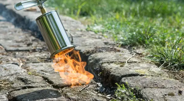 Ein Brenner bekämpft hartnäckiges Unkraut auf einem gepflasterten Weg. Flammen lodern aus dem Metallgerät und vernichten unerwünschte Pflanzen.