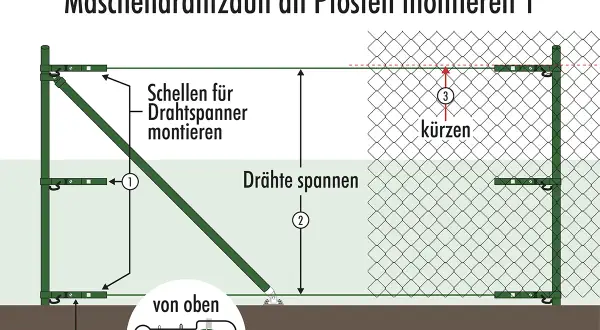 Illustration zeigt die Maschendrahtzaun Montage an Pfosten. Drahtspanner werden montiert, Drähte gespannt und der Zaun gekürzt.