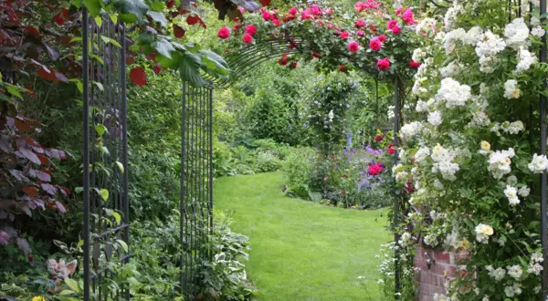 Ein schmal kleiner garten gestalten: Rosenranken überwuchern einen Torbogen, der zu einem üppig grünen Rasenweg führt.
