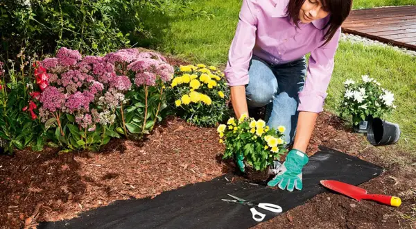 Frau befestigt Unkrautvlies im Garten, um neue Blumen zu pflanzen. Werkzeuge wie Schere und Spaten liegen bereit.