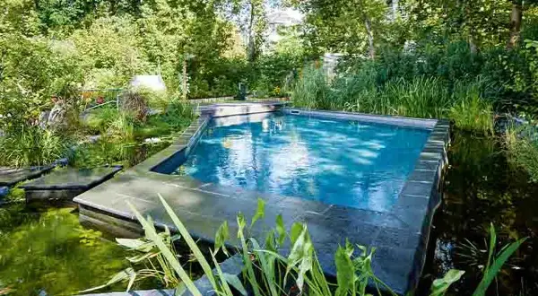 Ein moderner Gartenpool mit integriertem Teich und üppiger Bepflanzung. Tolle gartenpool ideen für eine natürliche Oase.