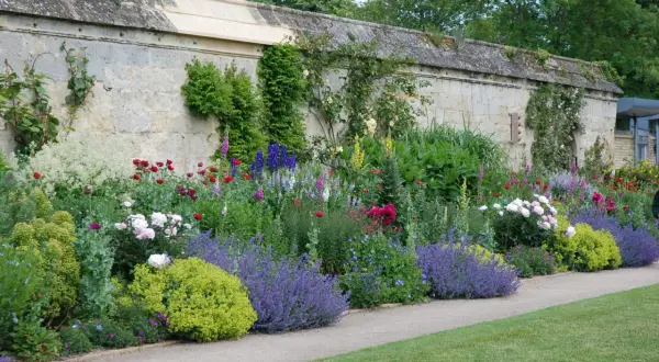 Bunte Blumenbeete entlang einer Steinmauer, inspirierende Ideen für gartenbeete gestalten.