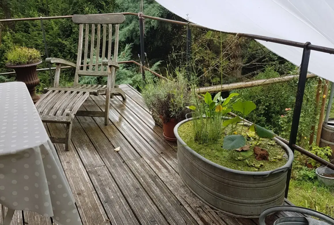 Kleine Gartenteich Ideen: Ein Zinkbottich mit Wasserpflanzen und Seerosen auf einer Holzterrasse neben einem alten Holzstuhl.
