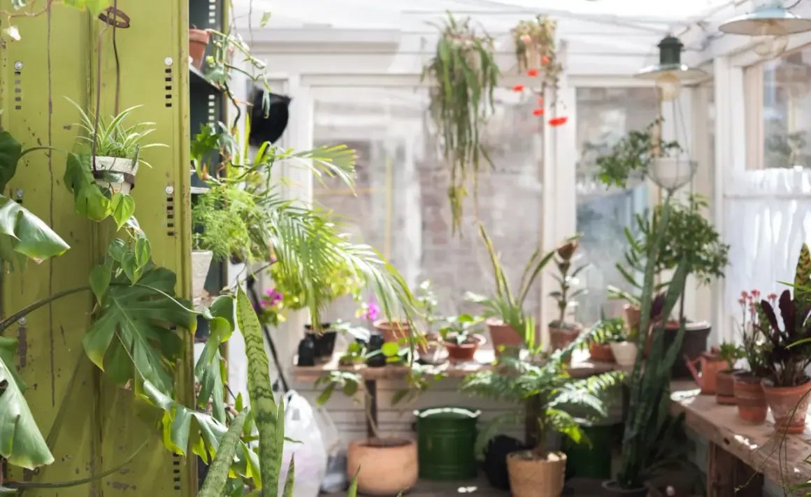 Grüner Wintergarten mit vielen Pflanzen. Tolle anbau wintergarten ideen für Pflanzenliebhaber.
