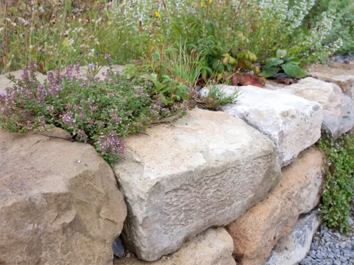 Eine rustikale **Natursteinmauer bauen** mit üppig blühendem Thymian und Wildblumen.