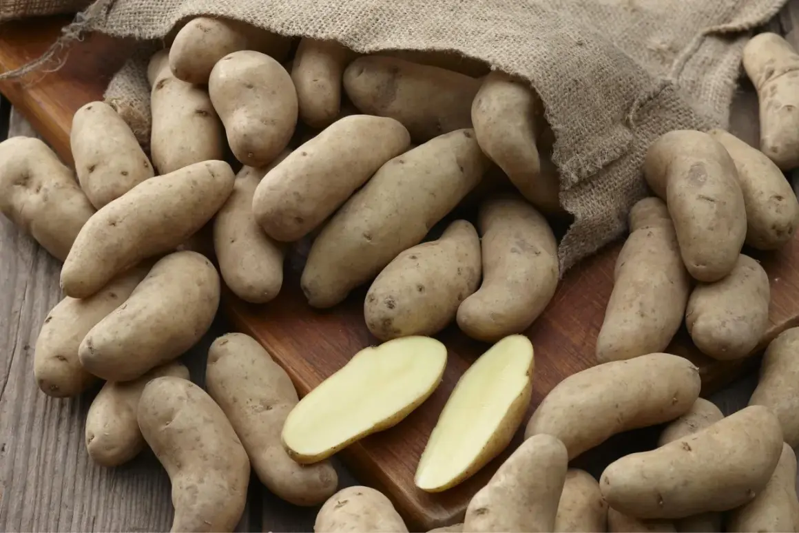 Ein Sack mit festkochenden Kartoffelsorten liegt auf einem Holzbrett. Einige Kartoffeln sind aufgeschnitten und zeigen ihr hellgelbes Inneres.