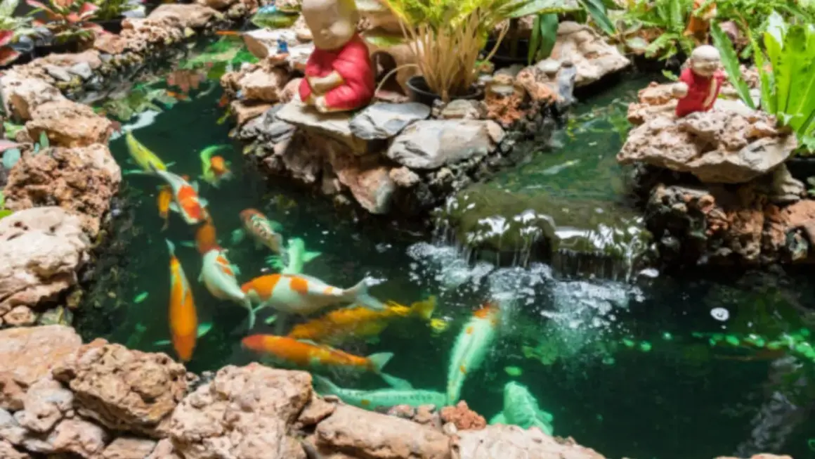 Bunte Koi schwimmen in einem Teich mit Wasserfall und Buddha-Figuren. Tolle koi teich ideen für Ihren Garten.