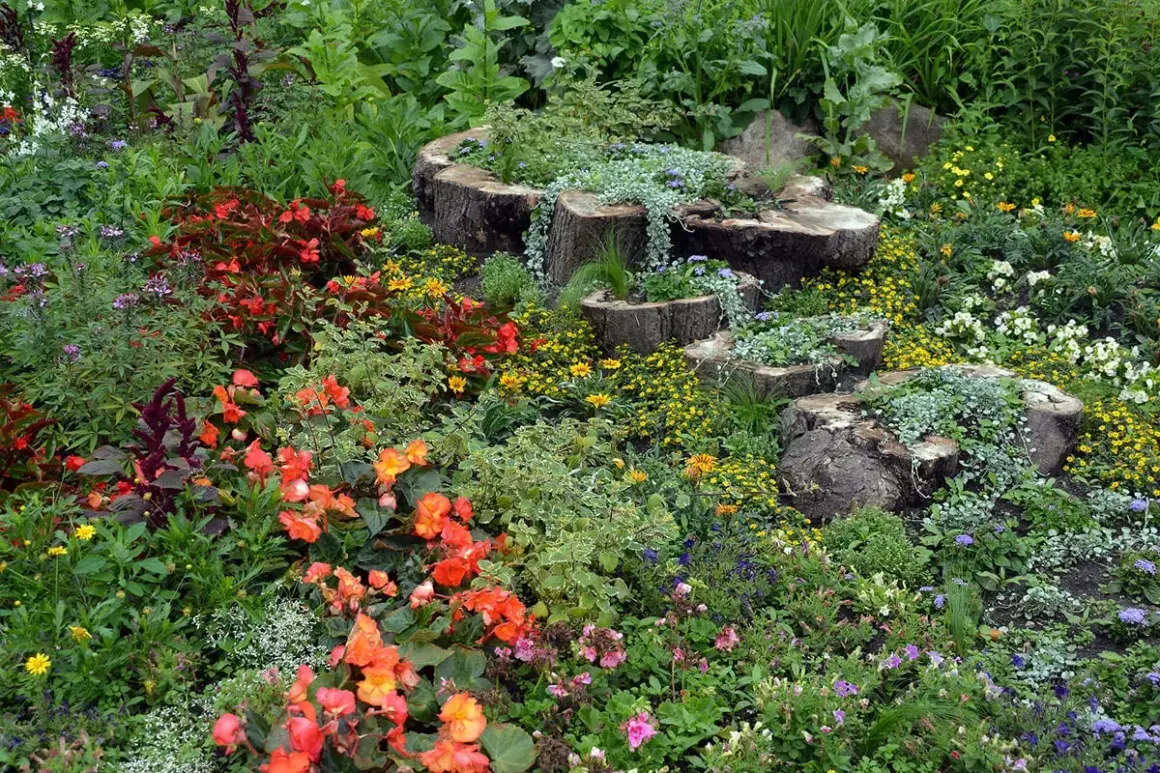 Blumenpracht und Baumstämme als Pflanzgefäße – tolle wildgarten ideen für ein naturnahes Paradies.