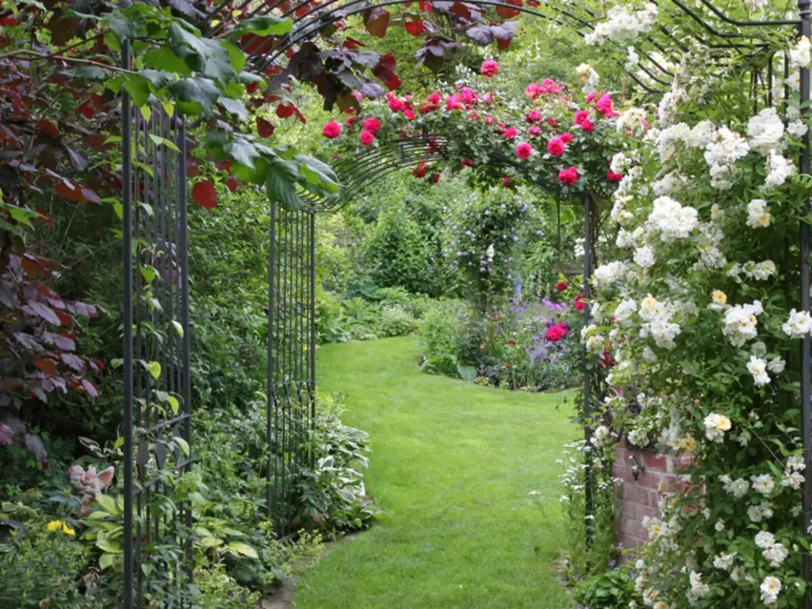 Ein schmal kleiner garten gestalten: Rosenranken überwuchern einen Torbogen, der zu einem üppig grünen Rasenweg führt.