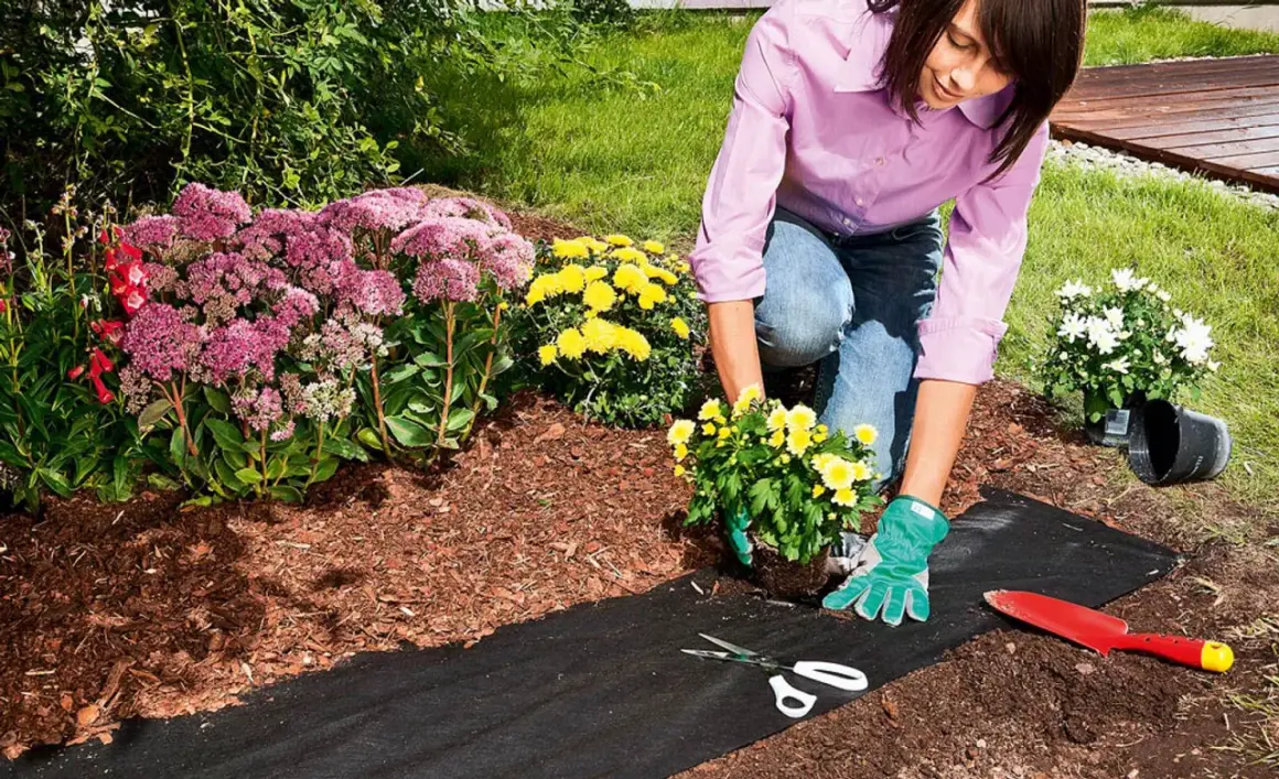 Frau befestigt Unkrautvlies im Garten, um neue Blumen zu pflanzen. Werkzeuge wie Schere und Spaten liegen bereit.