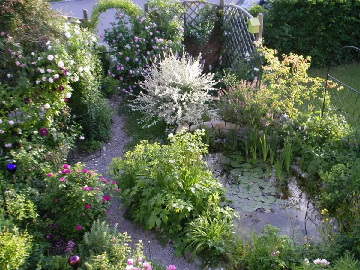 Ein schmal kleiner garten gestalten: Rosen, ein Teich und ein Kiesweg laden zum Verweilen ein. &Uuml;ppige Bl&uuml;ten und gr&uuml;ne Pflanzen schaffen eine idyllische Atmosph&auml;re.