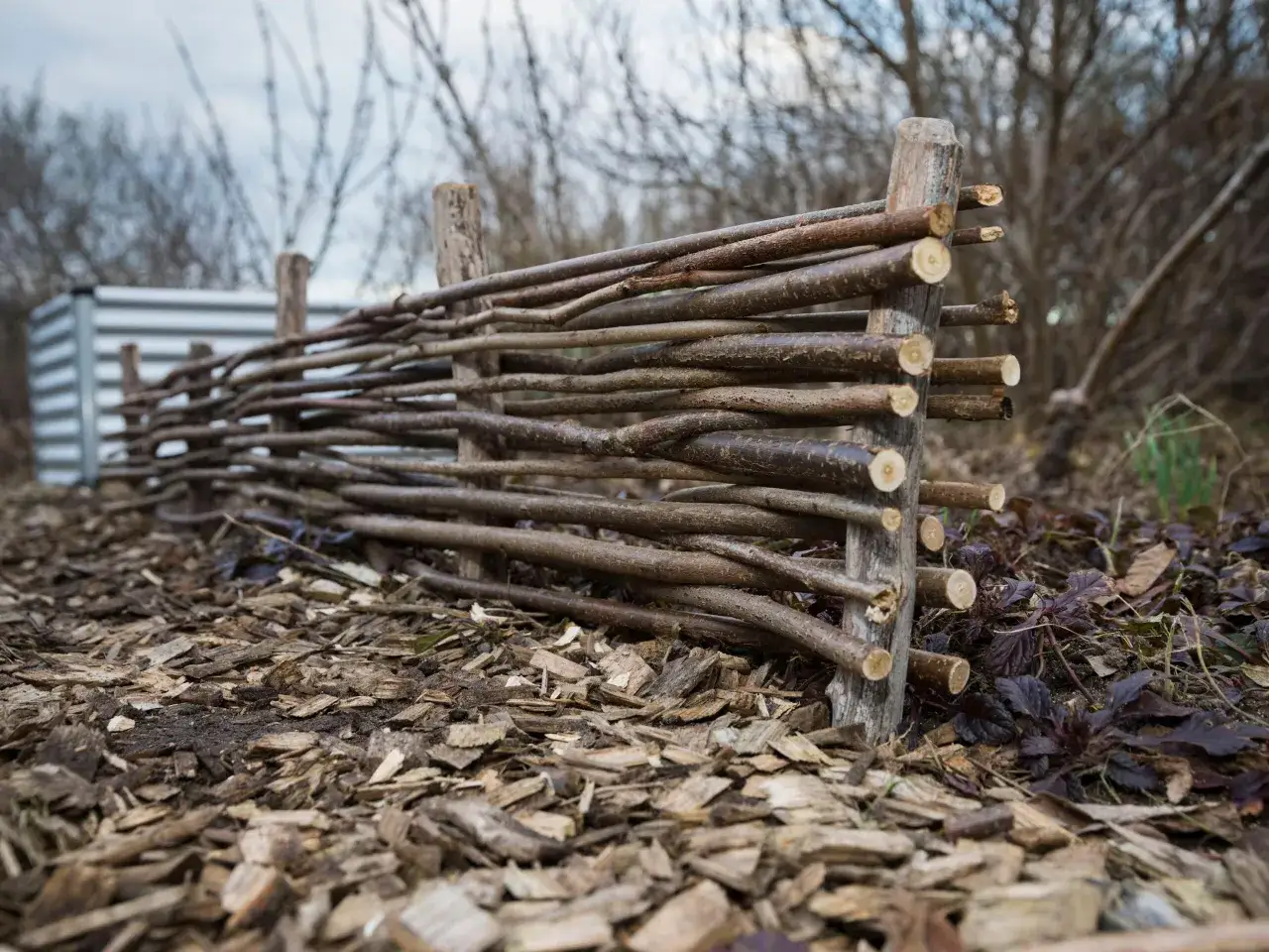 Ein rustikaler Zaun, der aus &Auml;sten geflochten ist, zeigt, wie man einen zaun selber bauen kann. Holzsp&auml;ne bedecken den Boden.