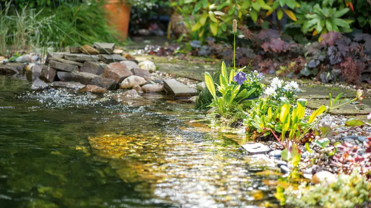 Ein naturnaher Schwimmteich anlegen mit Steinen und &uuml;ppiger Bepflanzung. Das Wasser pl&auml;tschert sanft.