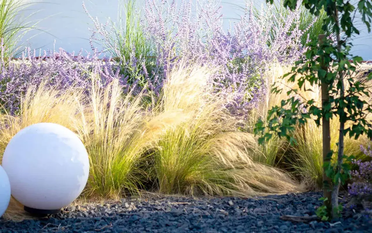Moderne Vorgarten Ideen: Gr&auml;ser, Lavendel und leuchtende Kugeln schaffen ein stimmungsvolles Ambiente.