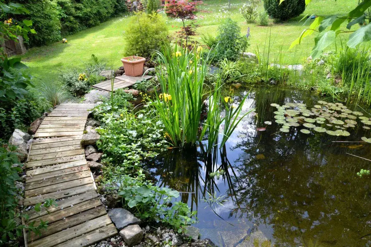 Ein idyllischer Teich im Garten mit Seerosen und gelben Schwertlilien, umgeben von &uuml;ppiger Vegetation und einem Holzsteg.