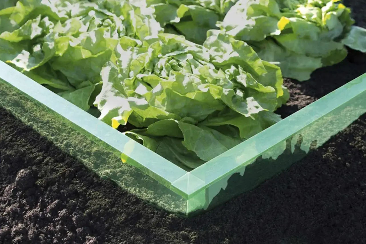 Gr&uuml;ner, transparenter Schneckenzaun sch&uuml;tzt frischen Salat im Garten. So einfach l&auml;sst sich ein Schneckenzaun selber bauen!