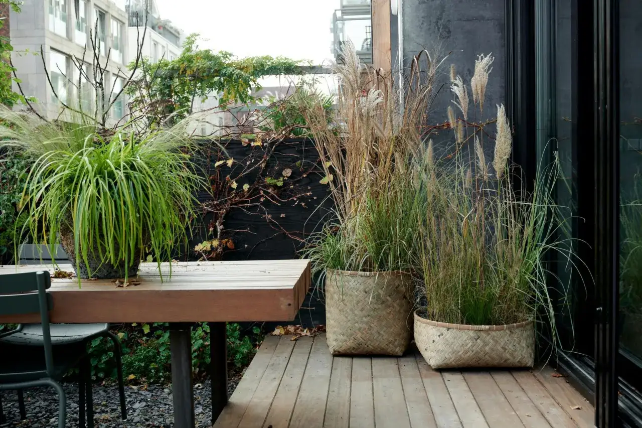 Ein moderner kleiner Garten auf dem Balkon eines Reihenhauses. Gr&auml;ser in K&ouml;rben und eine Pflanze auf dem Tisch schaffen eine gem&uuml;tliche Atmosph&auml;re.