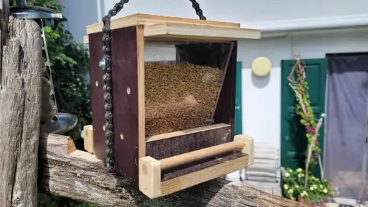 Vogelfutterhaus selber bauen - hygienische Futterstelle