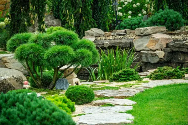 Ein friedlicher, privater japanischer Garten mit einem kunstvoll beschnittenen Baum, Steinen und einem Bachlauf.