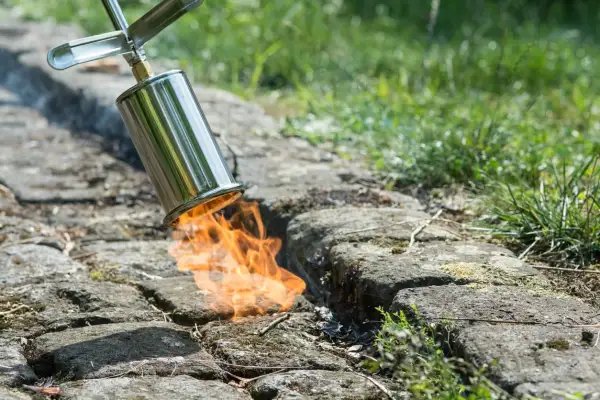 Ein Brenner bekämpft hartnäckiges Unkraut auf einem gepflasterten Weg. Flammen lodern aus dem Metallgerät und vernichten unerwünschte Pflanzen.